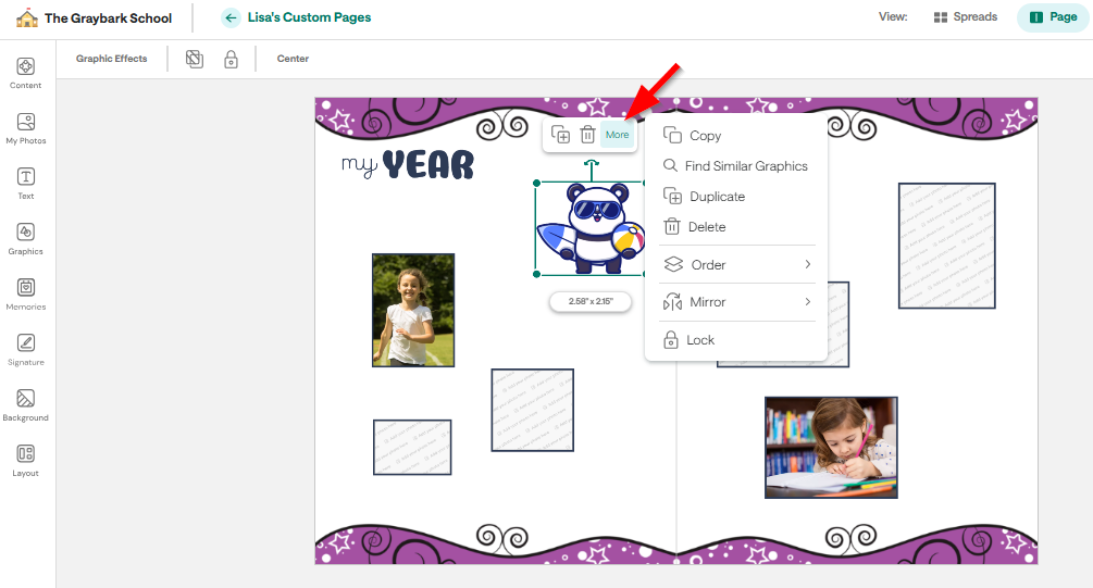 Adding Graphics to Custom Pages
