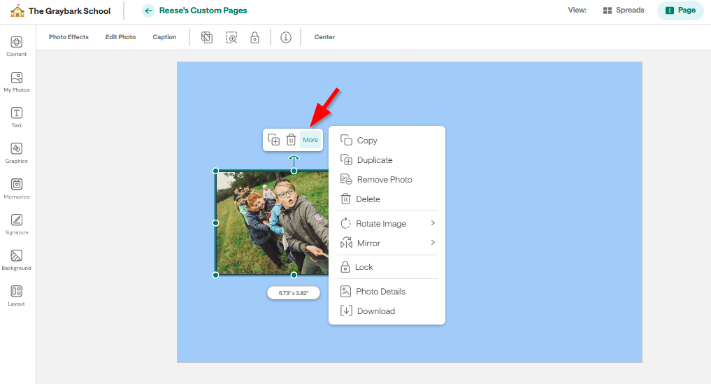 Editing Photos On Custom Pages